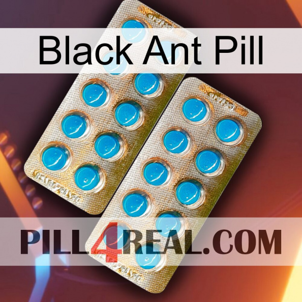 Black Ant Pill new08.jpg